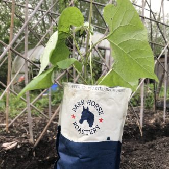 Growing with biodegradable plastic bags