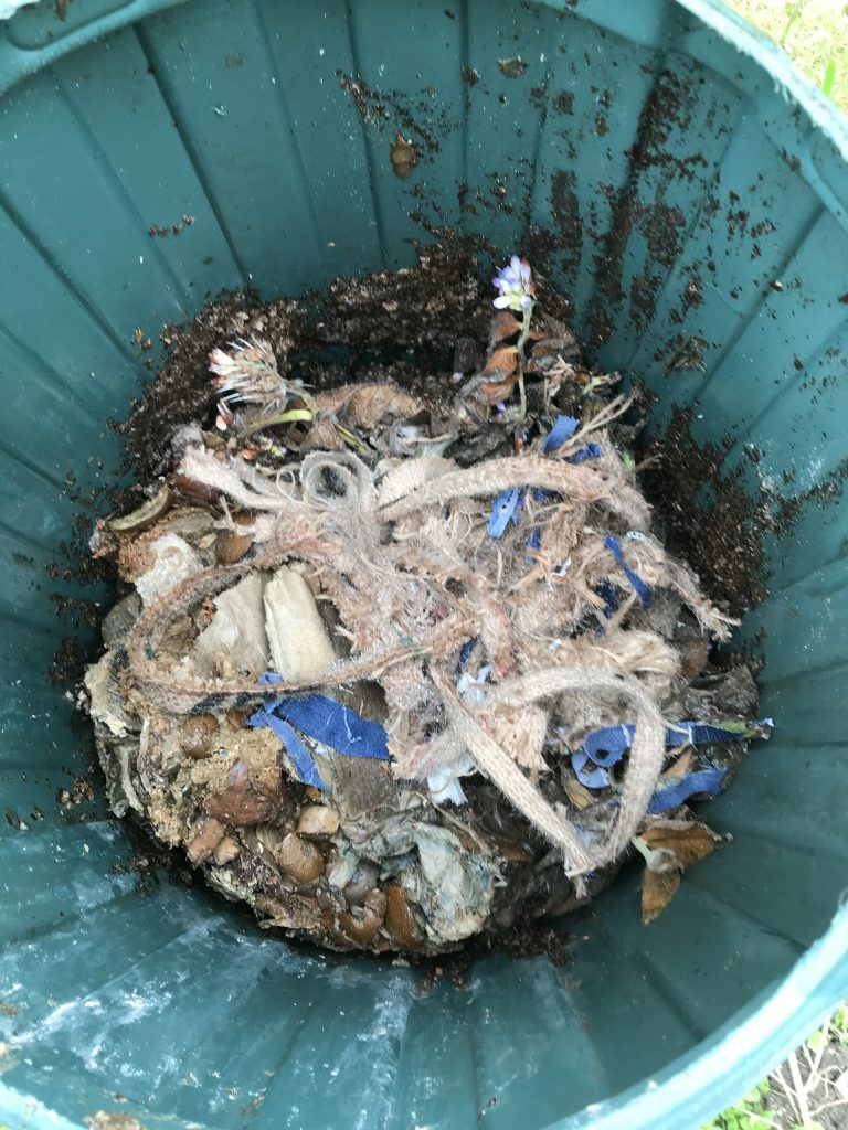 Update, a couple of weeks later. Turning the compost.
